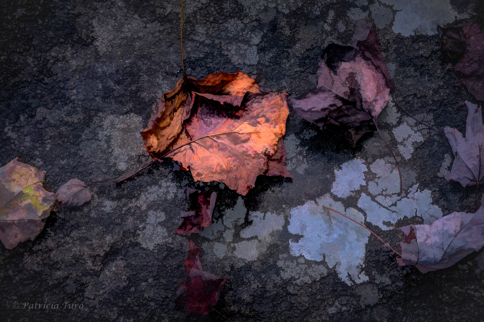 The Death of a Leave