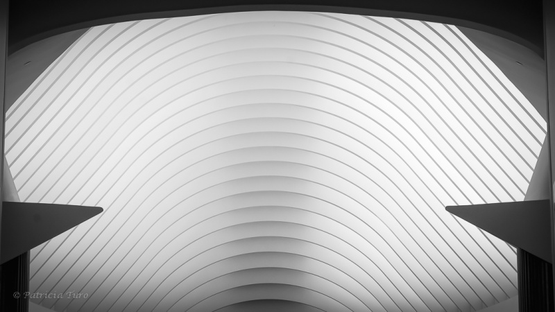 Florida Polytechnic University 10