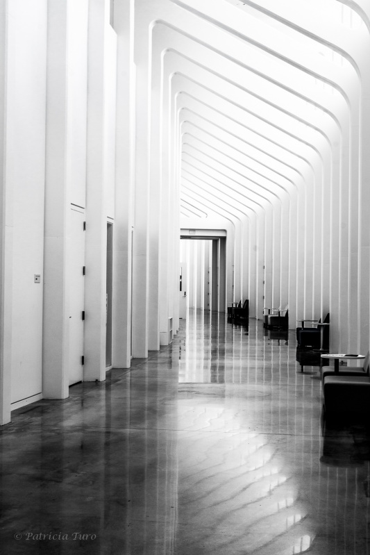 Florida Polytechnic University 11