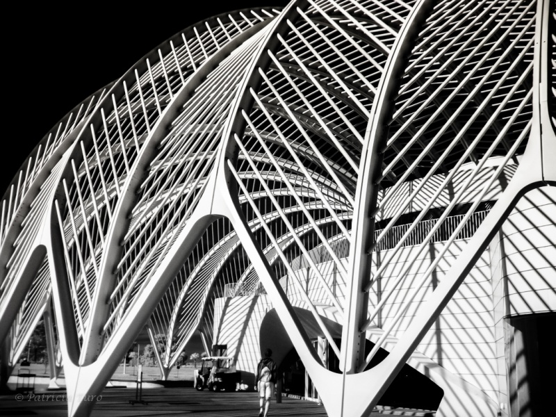 Florida Polytechnic University 12