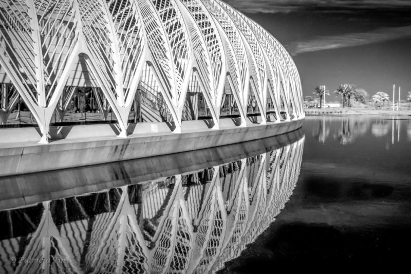 Florida Polytechnic University 13