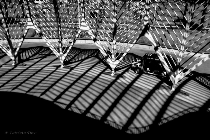 Florida Polytechnic University 6