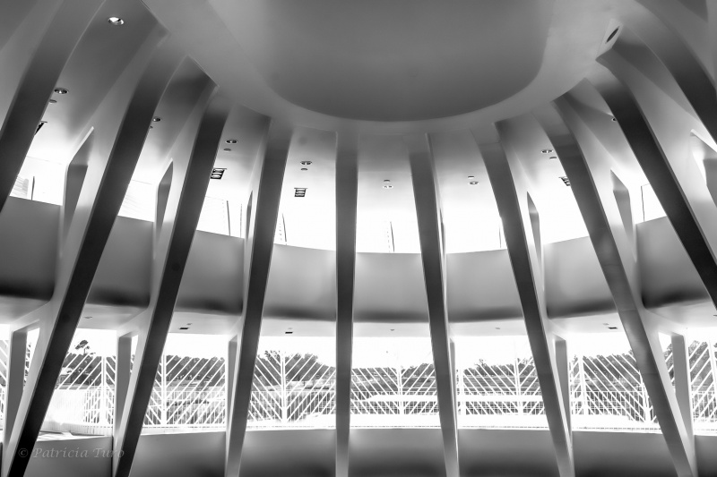 Florida Polytechnic University 7