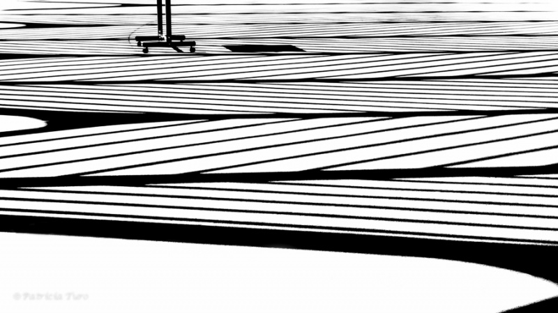 Florida Polytechnic University 8