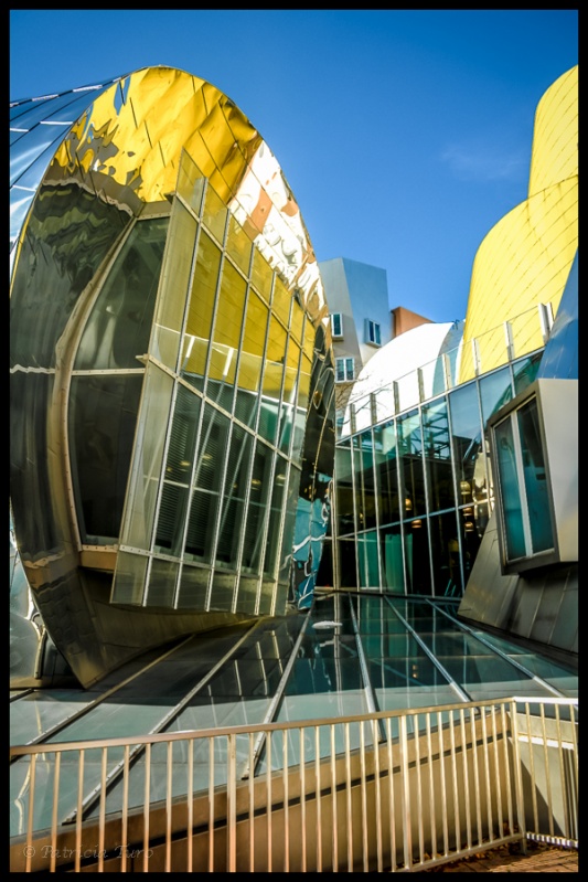 Stata Center 12