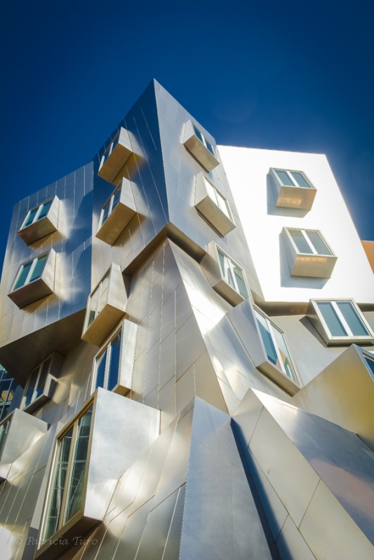 Stata Center 19