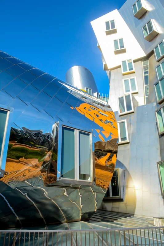Ray & Maria Stata Center 6
