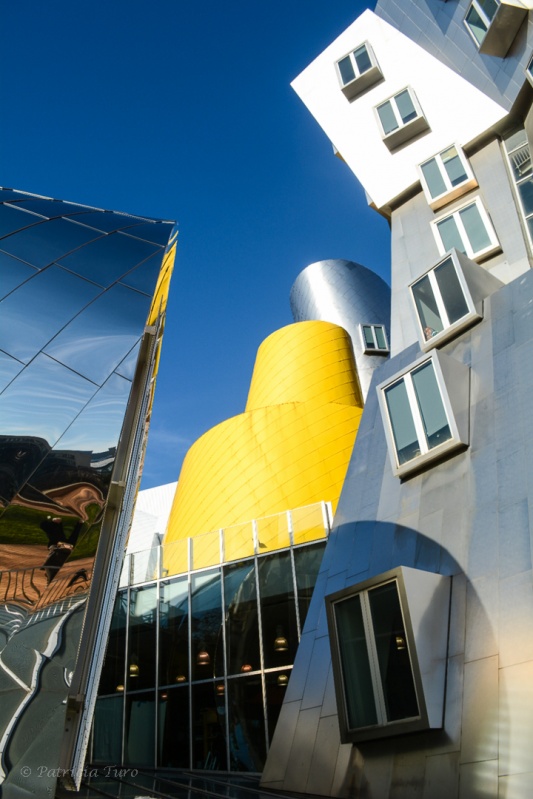 Ray & Maria Stata Center 7
