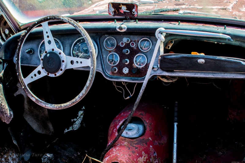 Graveyard Car Interior 2