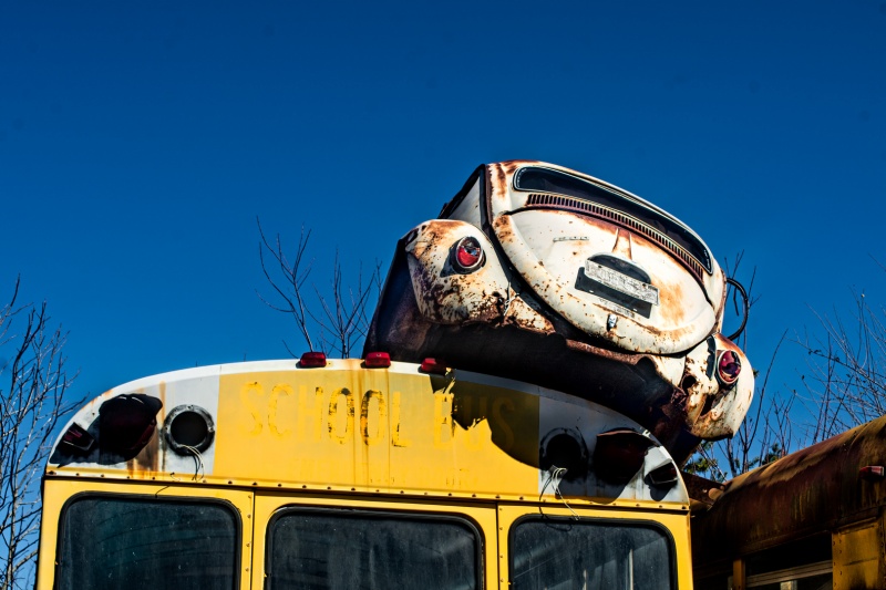 School Bus Graveyard 1