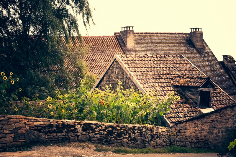 French Countryside 20