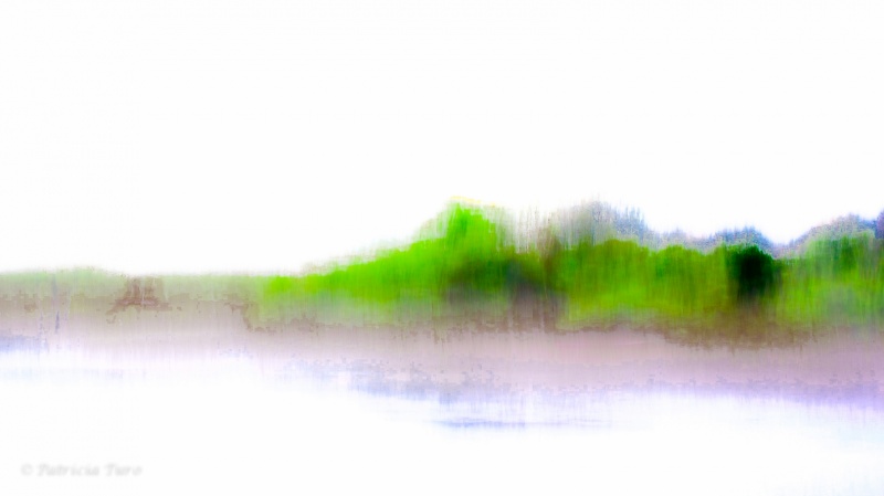 Everglades 2