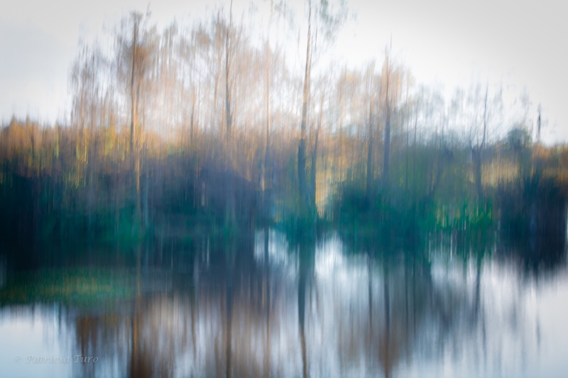 Trees 21