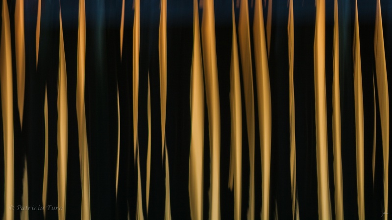 Sunset Pilings