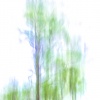 Standing Tall 2