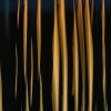 Sunset Pilings