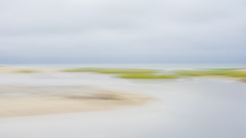 Salt Water Marsh