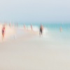 A Walk on the Beach 17