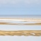 Monomoy 6