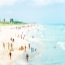 Beach Day 49