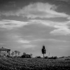 Abandoned Farmhouse 2