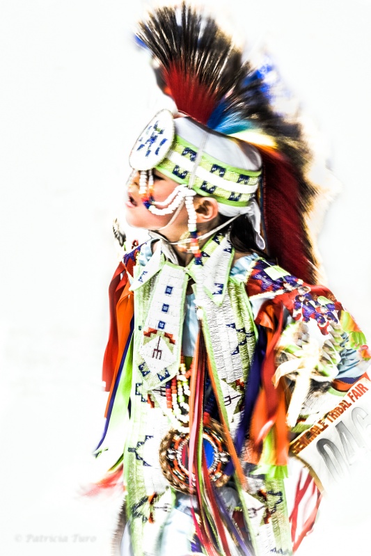 Seminole Dancer