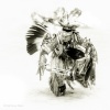Native American 24