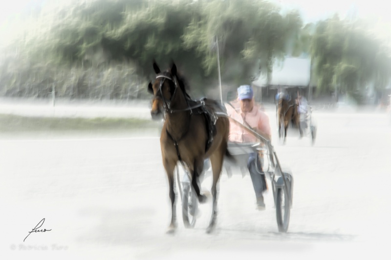 Harness Racing 74