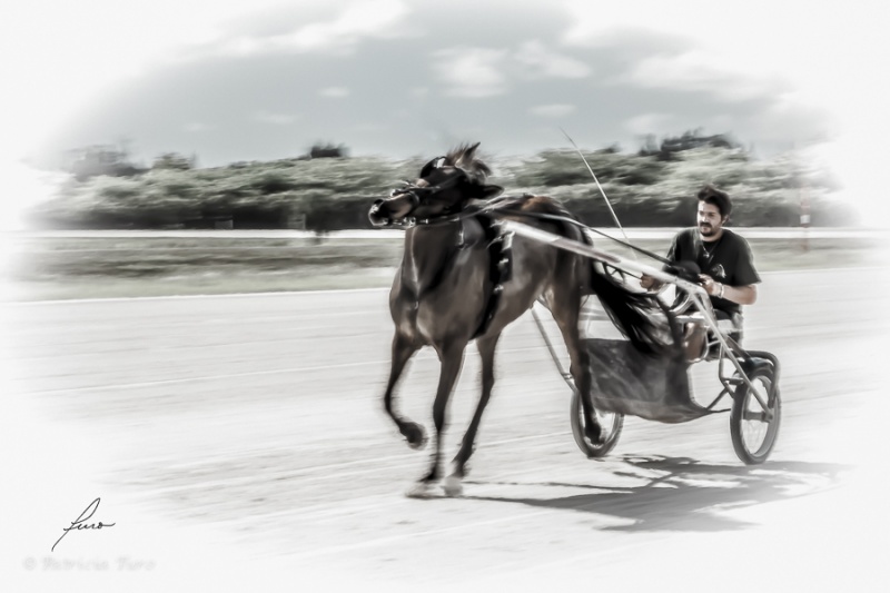 Harness Racing 68