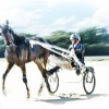 Harness Racing 42