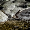 Gelmersee 8