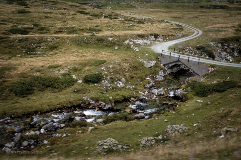 Bernina Pass