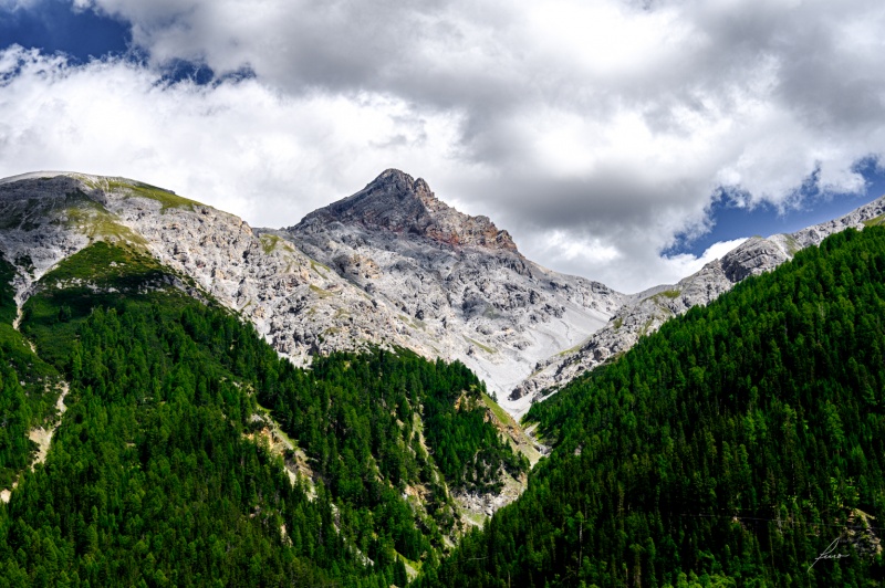Alps 19