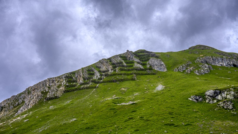Alps 225