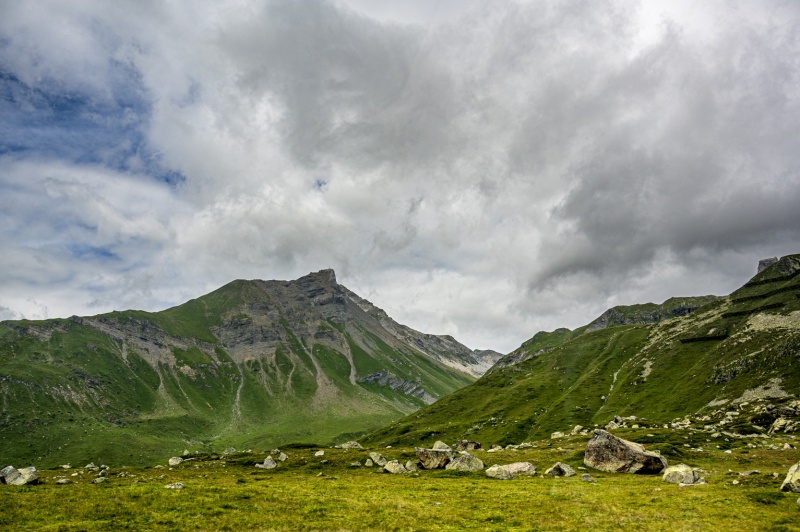Alps 222