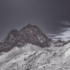 Alps 203