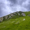 Alps 225