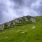 Alps 225