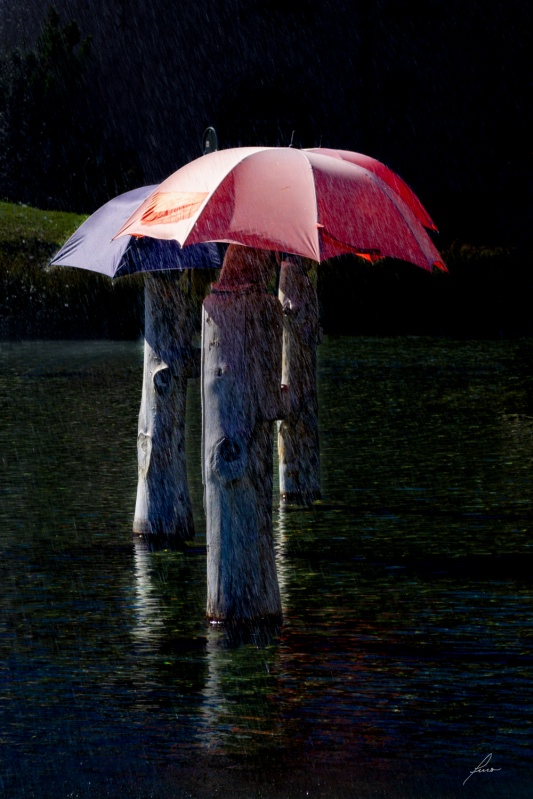 Umbrella 2