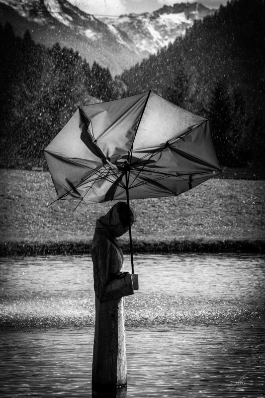 Umbrella 5