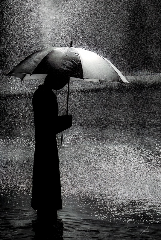 Umbrella 6