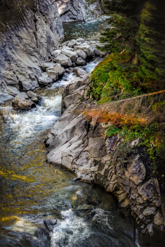 Vegetation on Gorge Walls