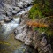 Vegetation on Gorge Walls