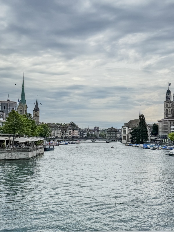 Zurich 8