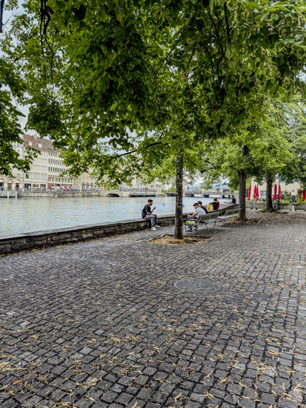 Zurich 16