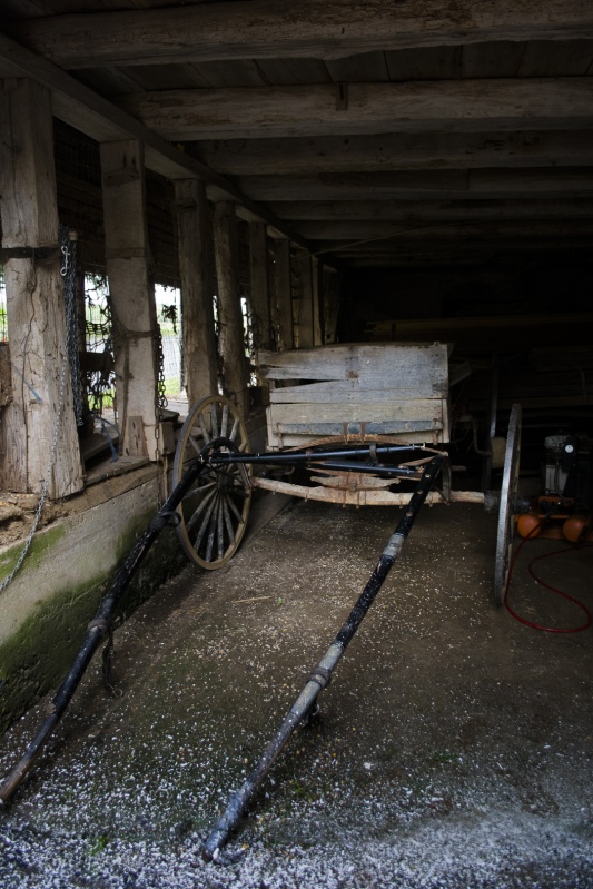 Amish Barn 1