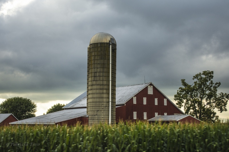 The Red Barn