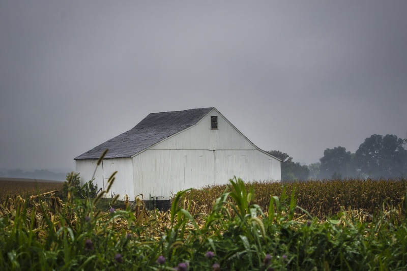 Amish Country