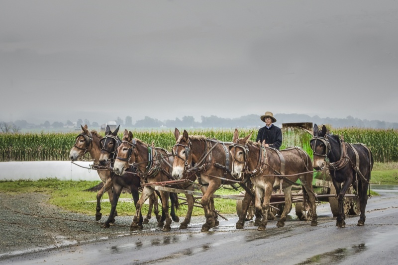 Amish Country