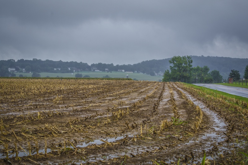 Amish Country